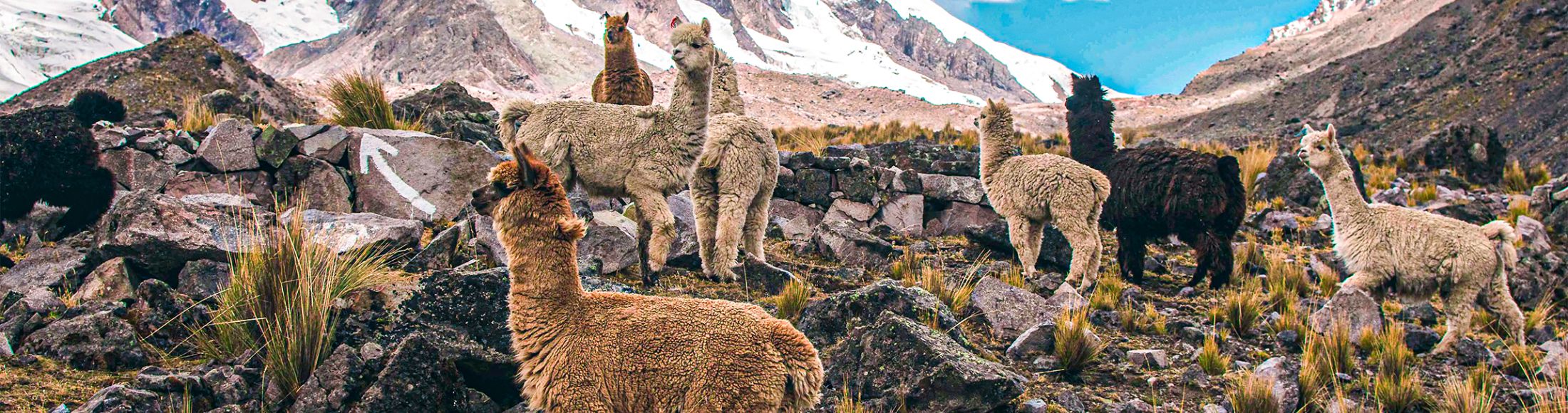 Machu Picchu 4D3N Viajero (Cultural Aventura Tendencia) desde Nicaragua
