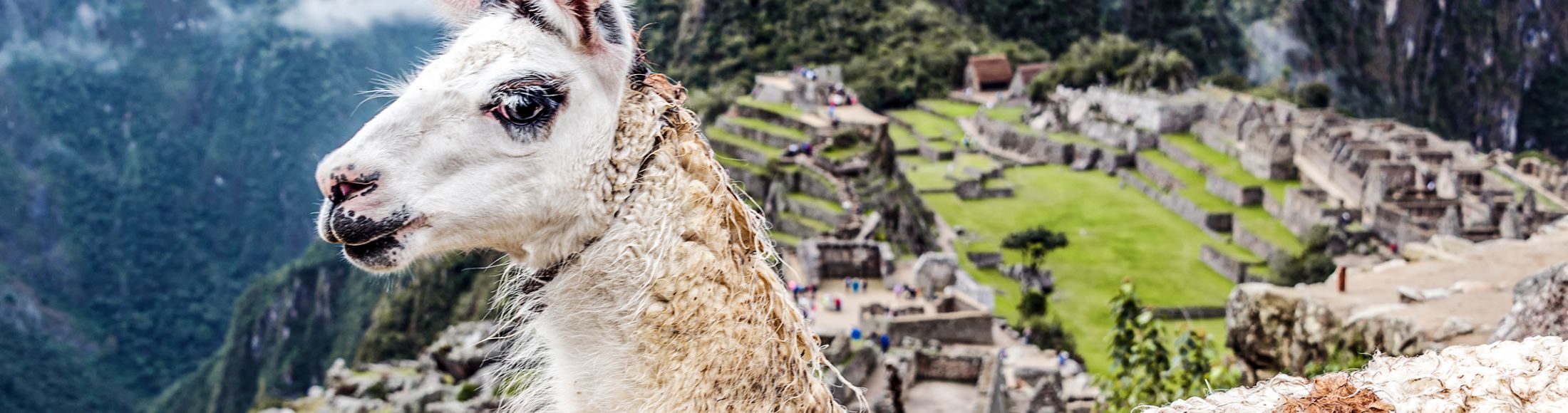 Machu Picchu 8D7N Viajero (Full Cultural) desde Nicaragua